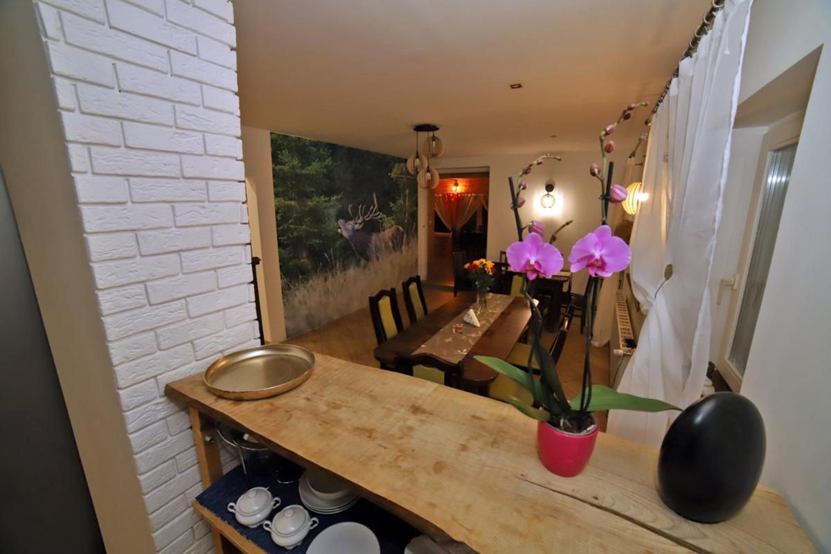 Apartamento Sowi Gosciniec Wellness & Breakfast Sokolec Exterior foto
